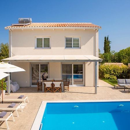 Grappolo Lefkada Villas - Vilana Ideal For Families And Small Groups Apolpaina 外观 照片