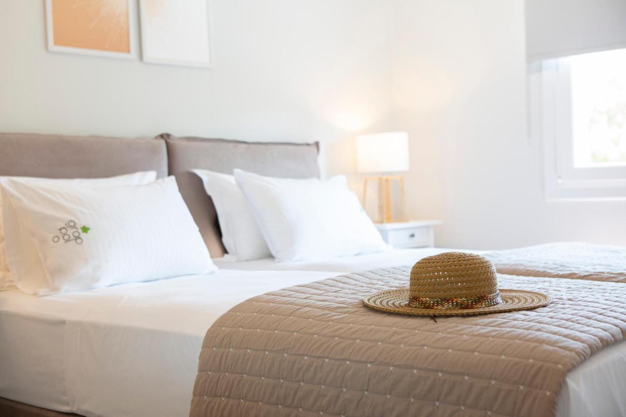 Grappolo Lefkada Villas - Vilana Ideal For Families And Small Groups Apolpaina 外观 照片