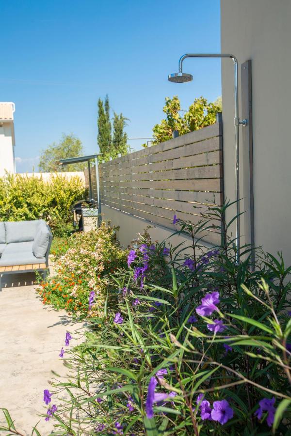 Grappolo Lefkada Villas - Vilana Ideal For Families And Small Groups Apolpaina 外观 照片